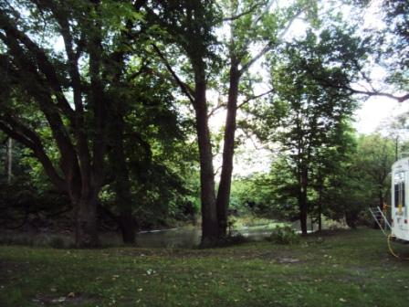 Bayou Buffs Camp Ground, A pic of Brook Creek.