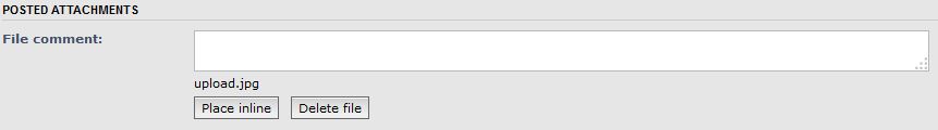 a comment for an image placed in line