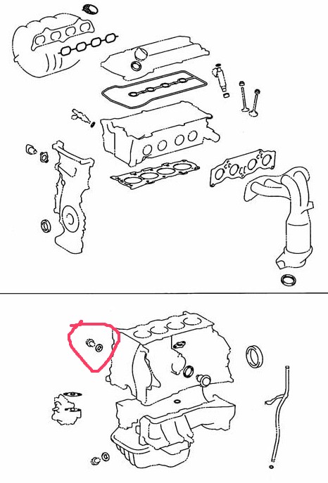 vibeEngineGaskets.jpg