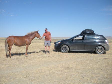 A horse = 1 hp &amp; A 2.4L Vibe = 150 horses.