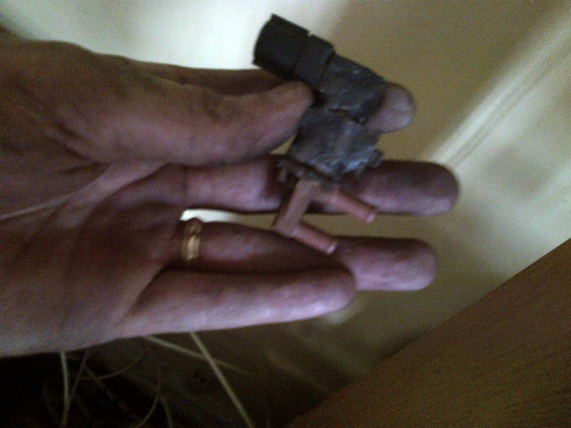 IMG-20130704-00267.jpg