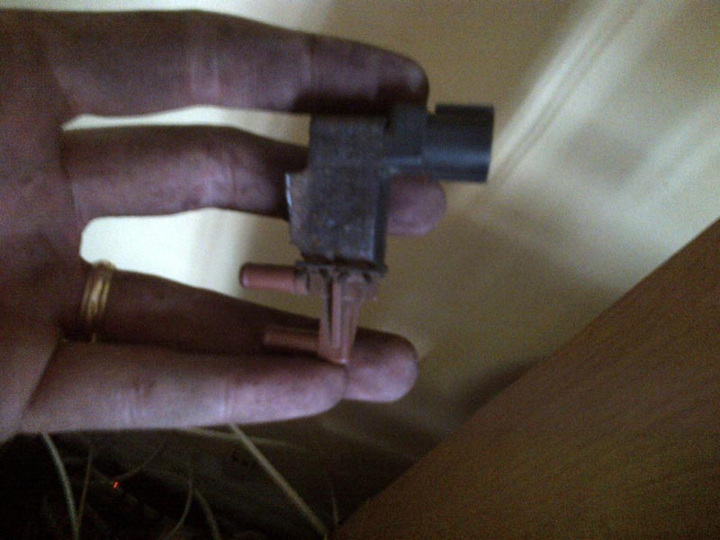 IMG-20130704-00268.jpg