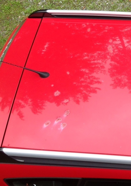 Rust marks on roof