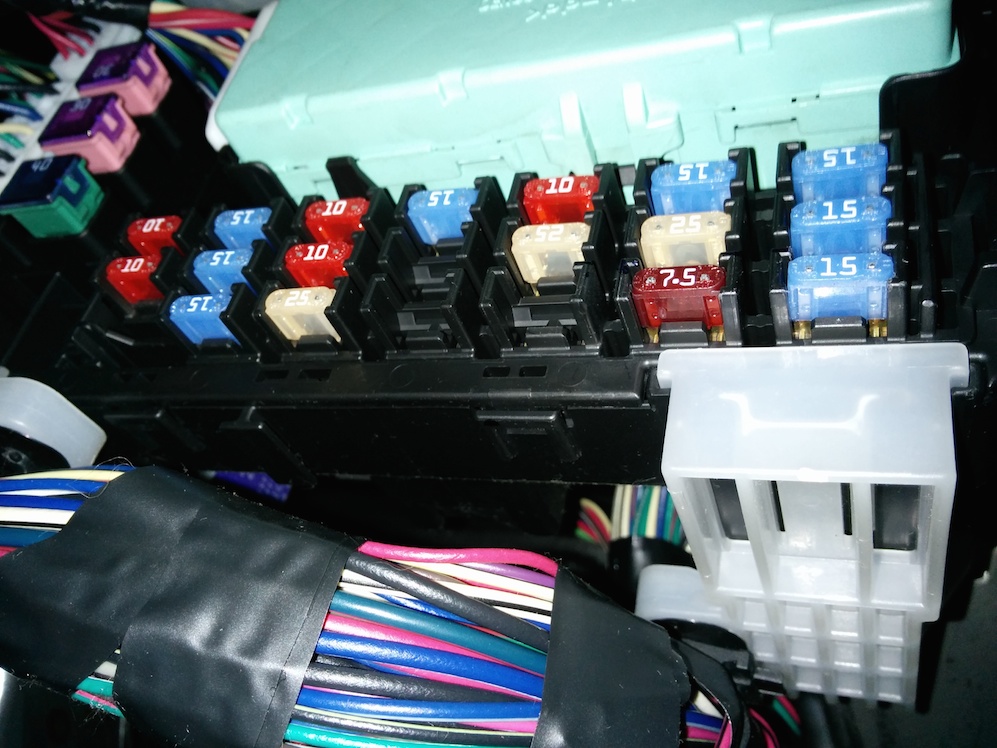 Fuse vibe.jpg