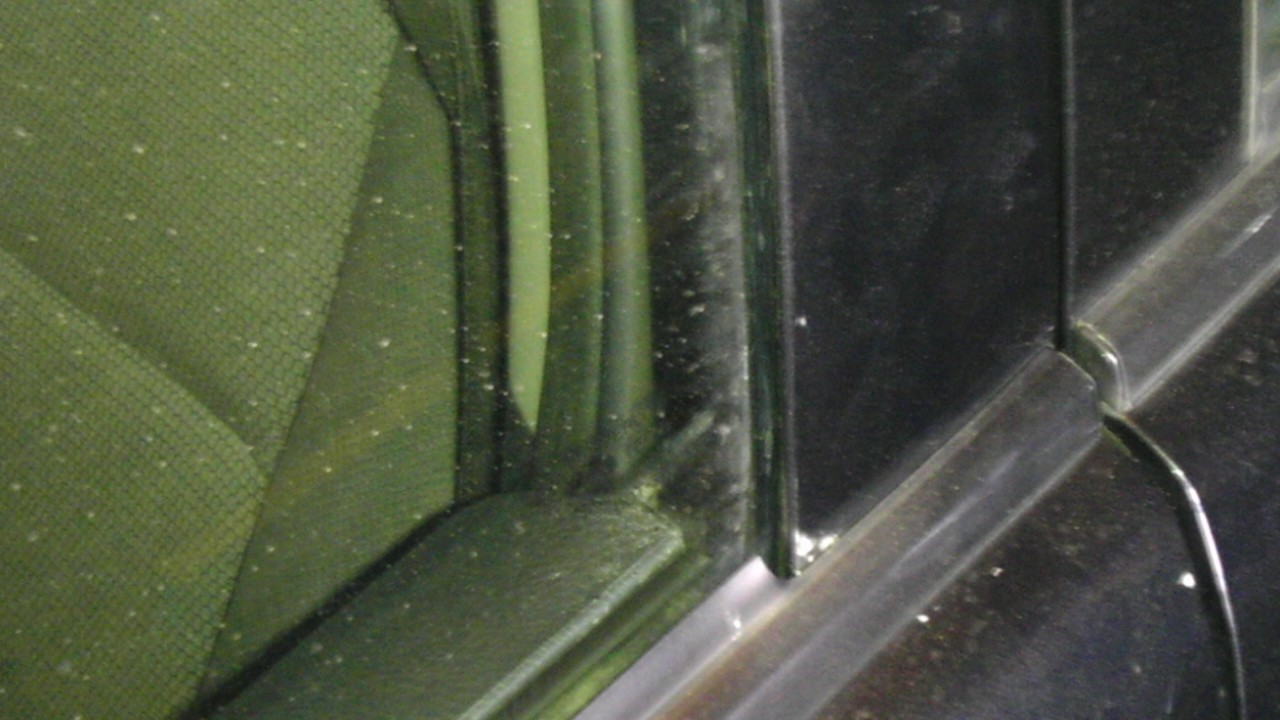 IMAG0099.jpg