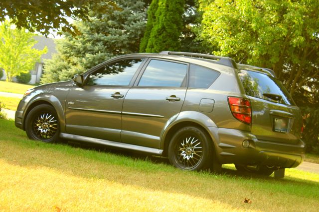 Vibe Back (small).jpg