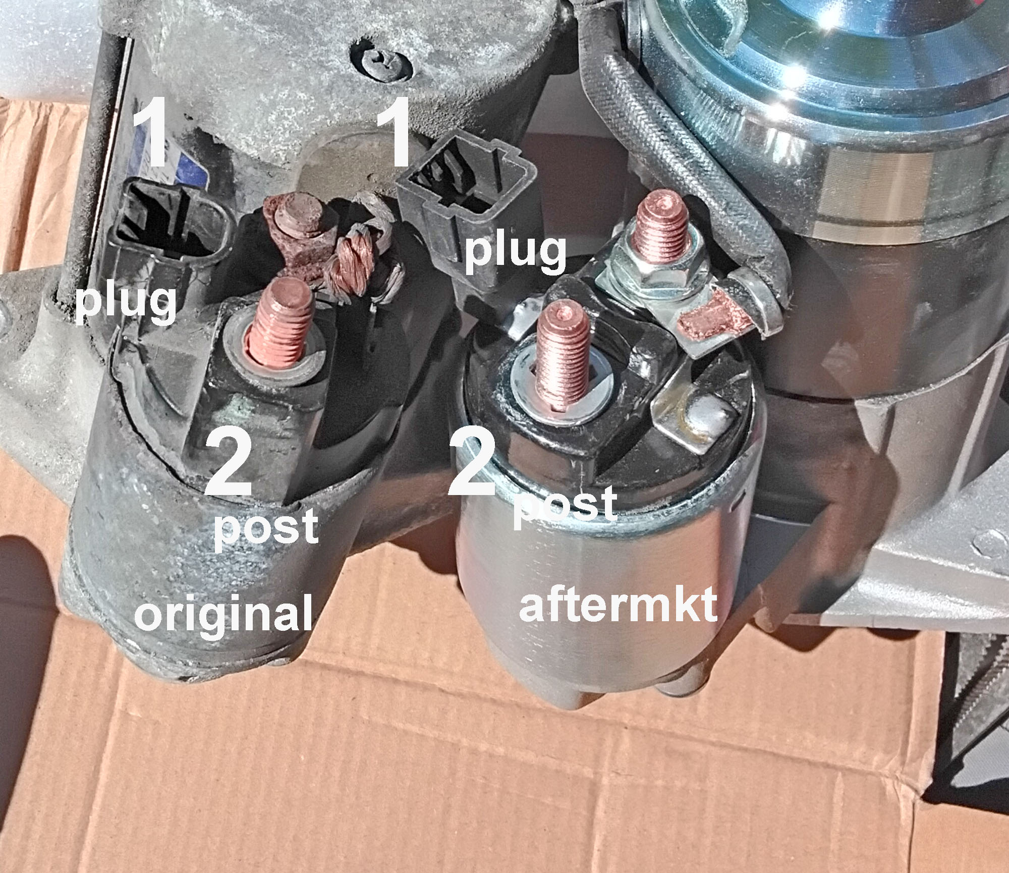 starter-003099.jpg