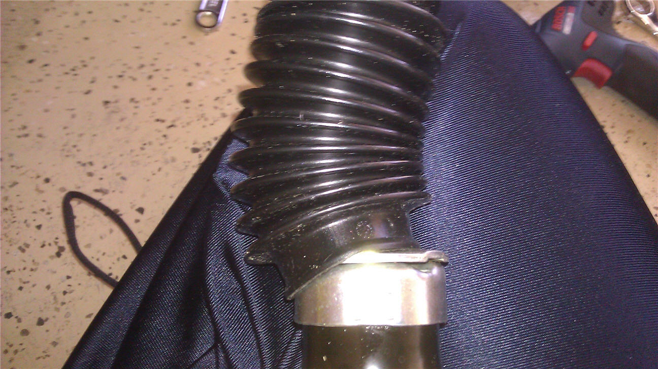 imag0605_small.jpg